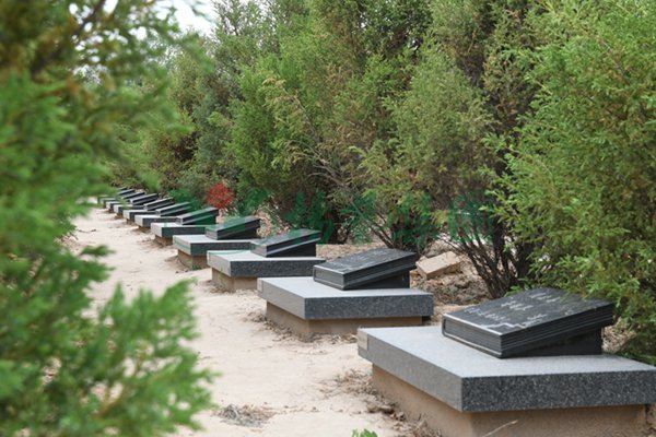 首页- 人生就是博中国官网入口