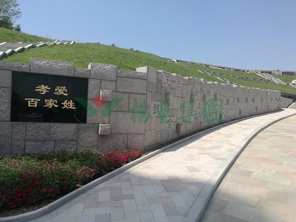 首页- 人生就是博中国官网入口