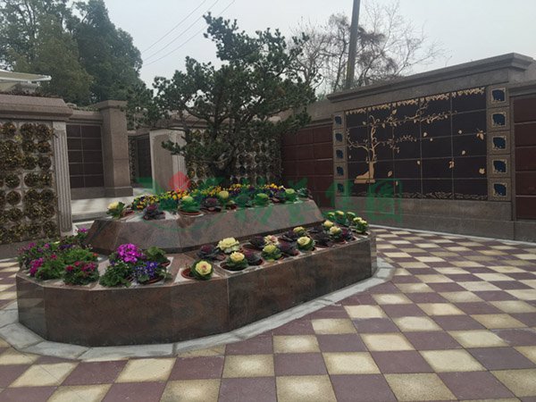 首页- 人生就是博中国官网入口