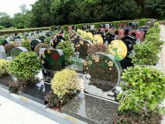 武汉千子星空陵寝-1