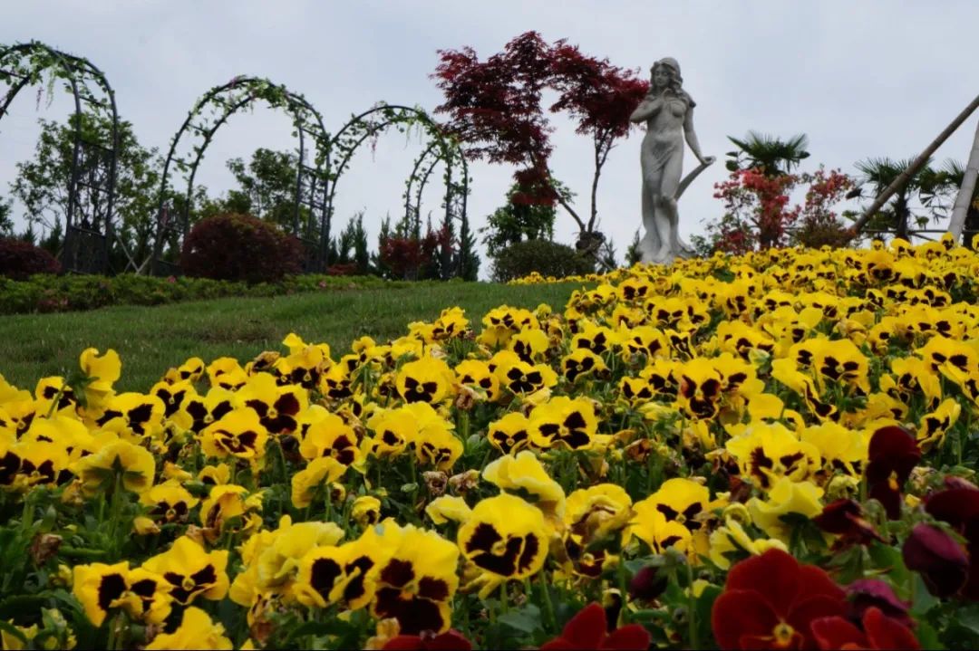 首页- 人生就是博中国官网入口