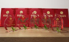 “人生就是博官网杯」劂江省节地生态安葬设计文章奖