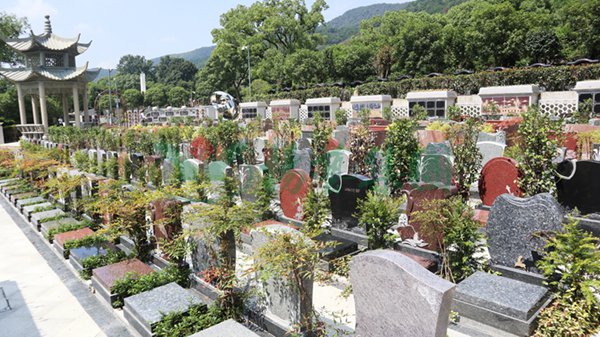 首页- 人生就是博中国官网入口