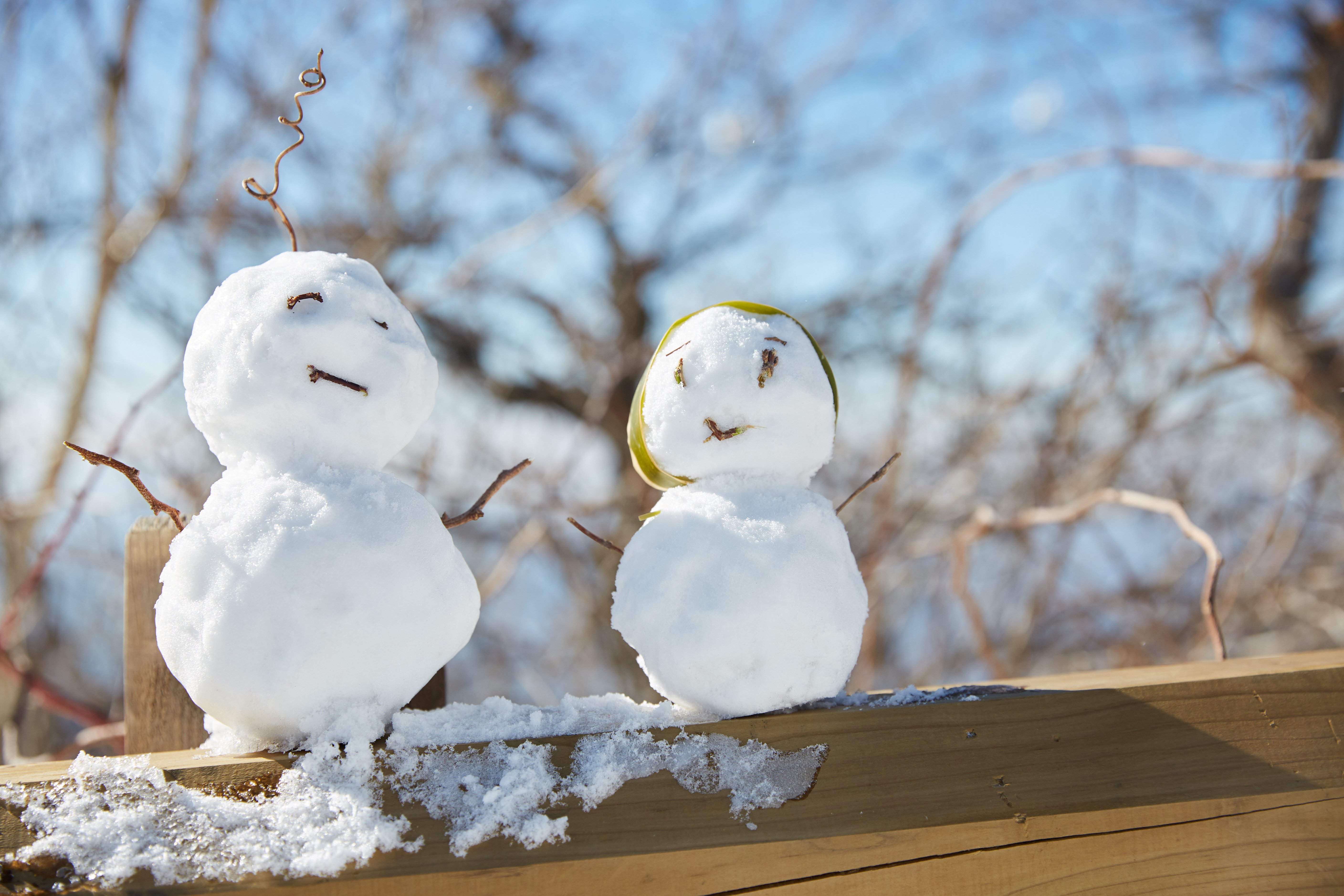 冬至，暖“杨”相伴 | 人生就是博官网人全力共同各墓园冬至落葬