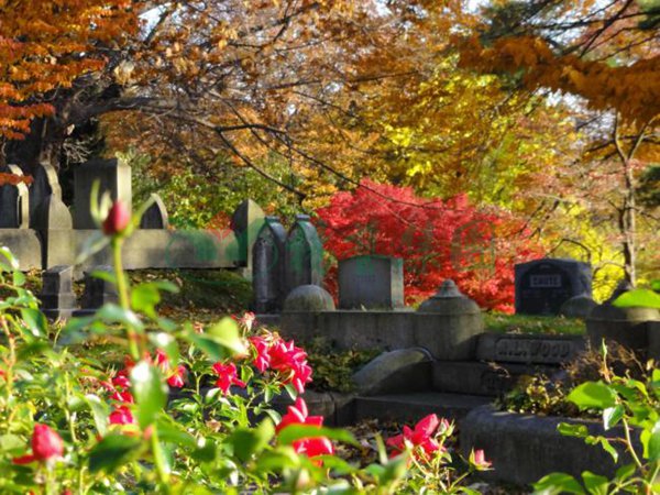 首页- 人生就是博中国官网入口