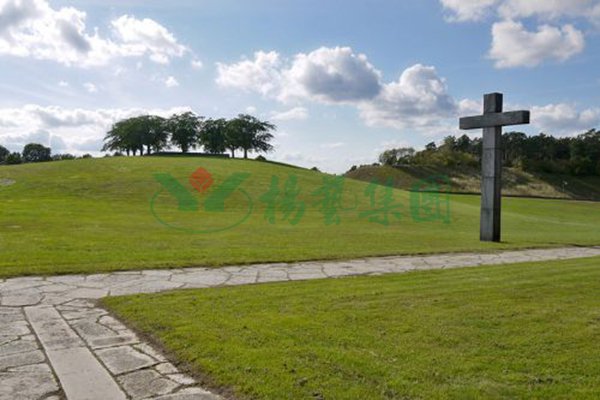 首页- 人生就是博中国官网入口