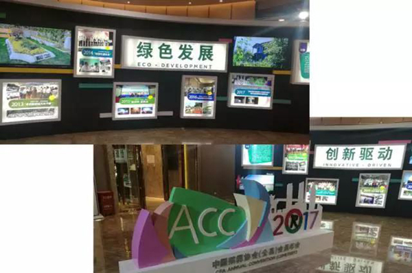 首页- 人生就是博中国官网入口