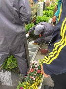 【人生就是博官网人别样清明】2018年清明落葬工作圆满实现