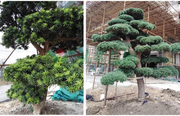 首页- 人生就是博中国官网入口