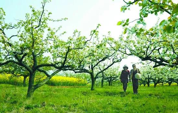 首页- 人生就是博中国官网入口