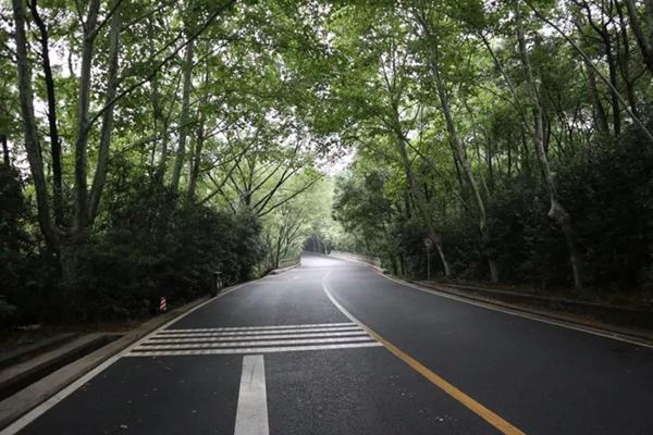 首页- 人生就是博中国官网入口