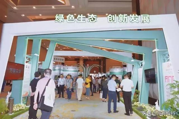 首页- 人生就是博中国官网入口