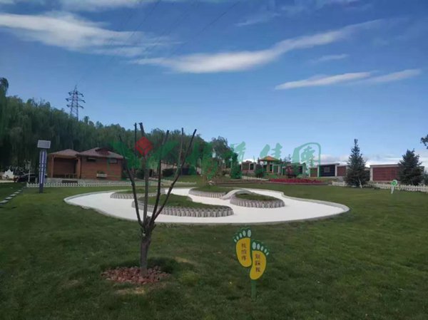 首页- 人生就是博中国官网入口