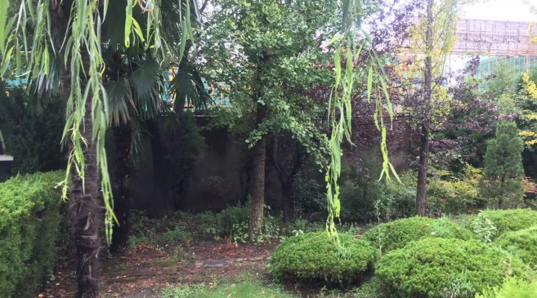 首页- 人生就是博中国官网入口