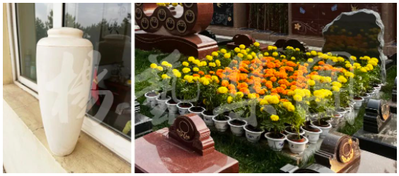 首页- 人生就是博中国官网入口