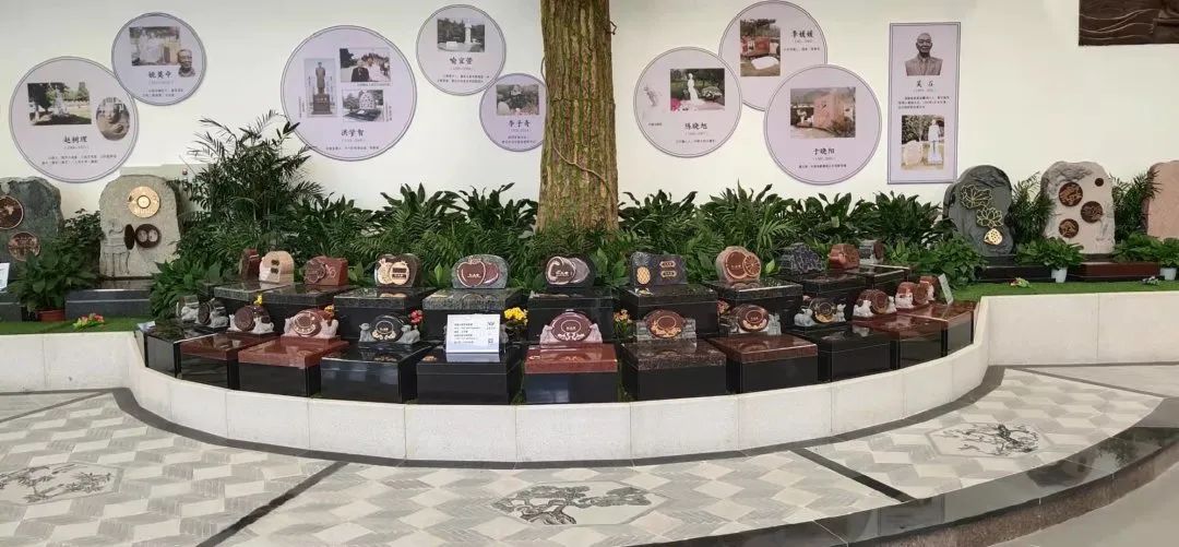 首页- 人生就是博中国官网入口