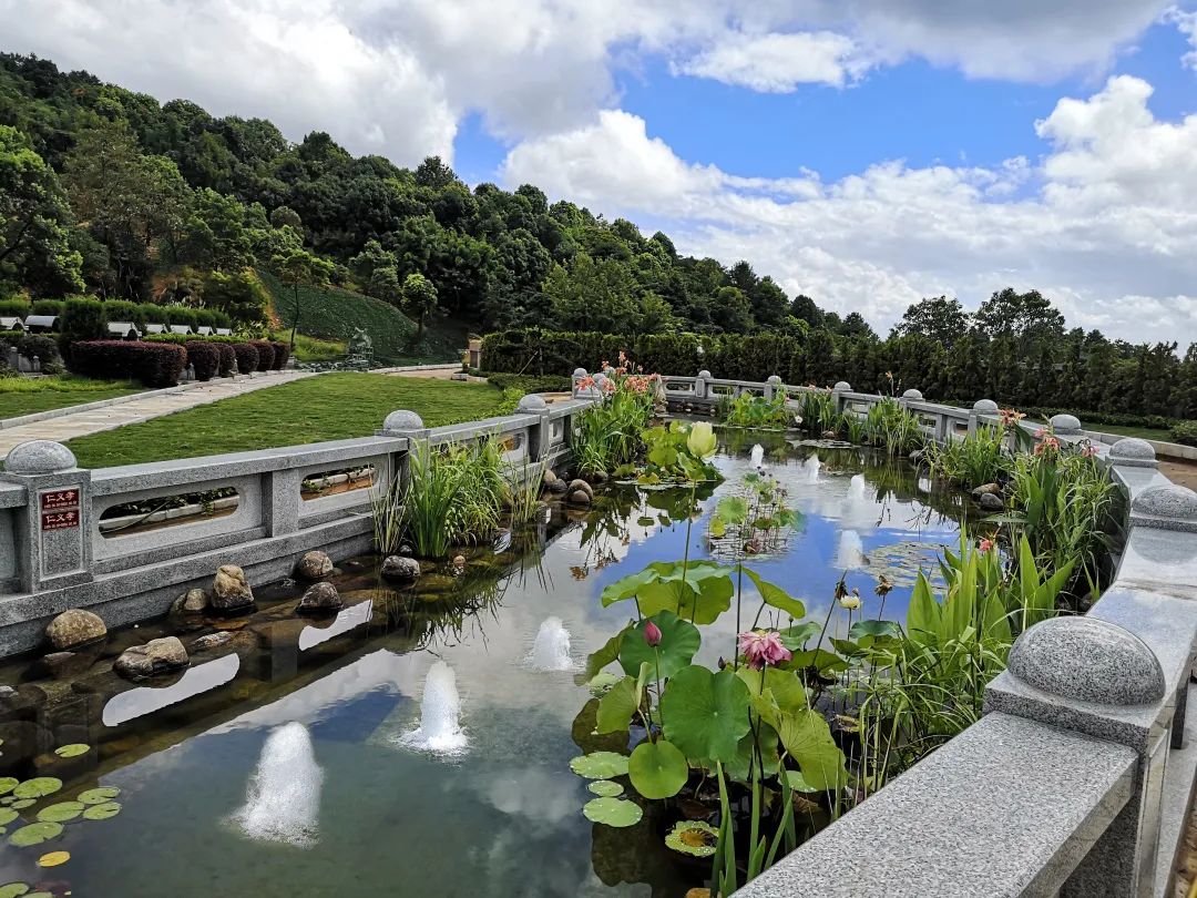 首页- 人生就是博中国官网入口