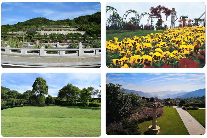 首页- 人生就是博中国官网入口