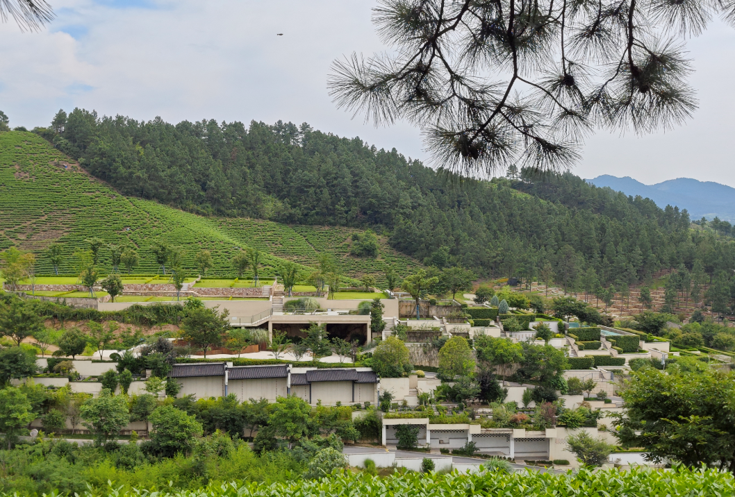 首页- 人生就是博中国官网入口