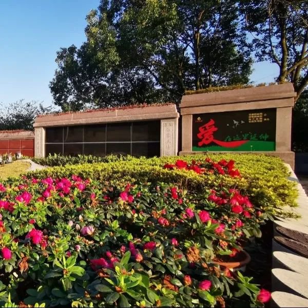 首页- 人生就是博中国官网入口