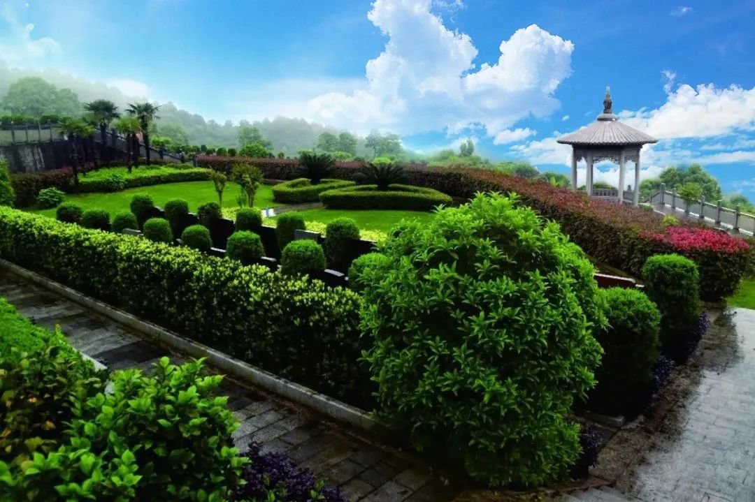 首页- 人生就是博中国官网入口