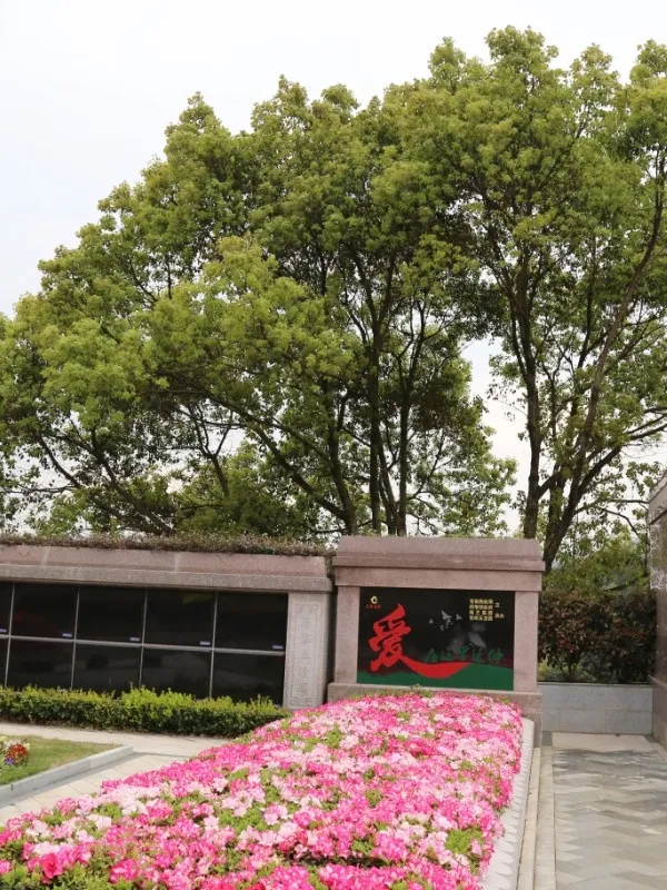 首页- 人生就是博中国官网入口