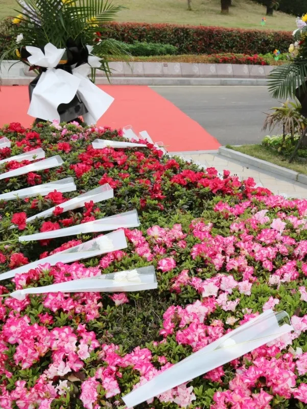 首页- 人生就是博中国官网入口