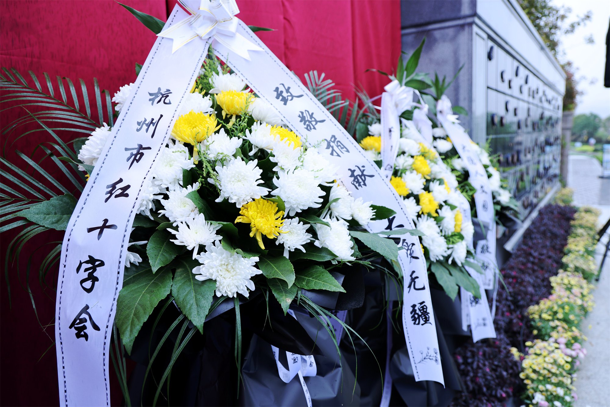 首页- 人生就是博中国官网入口