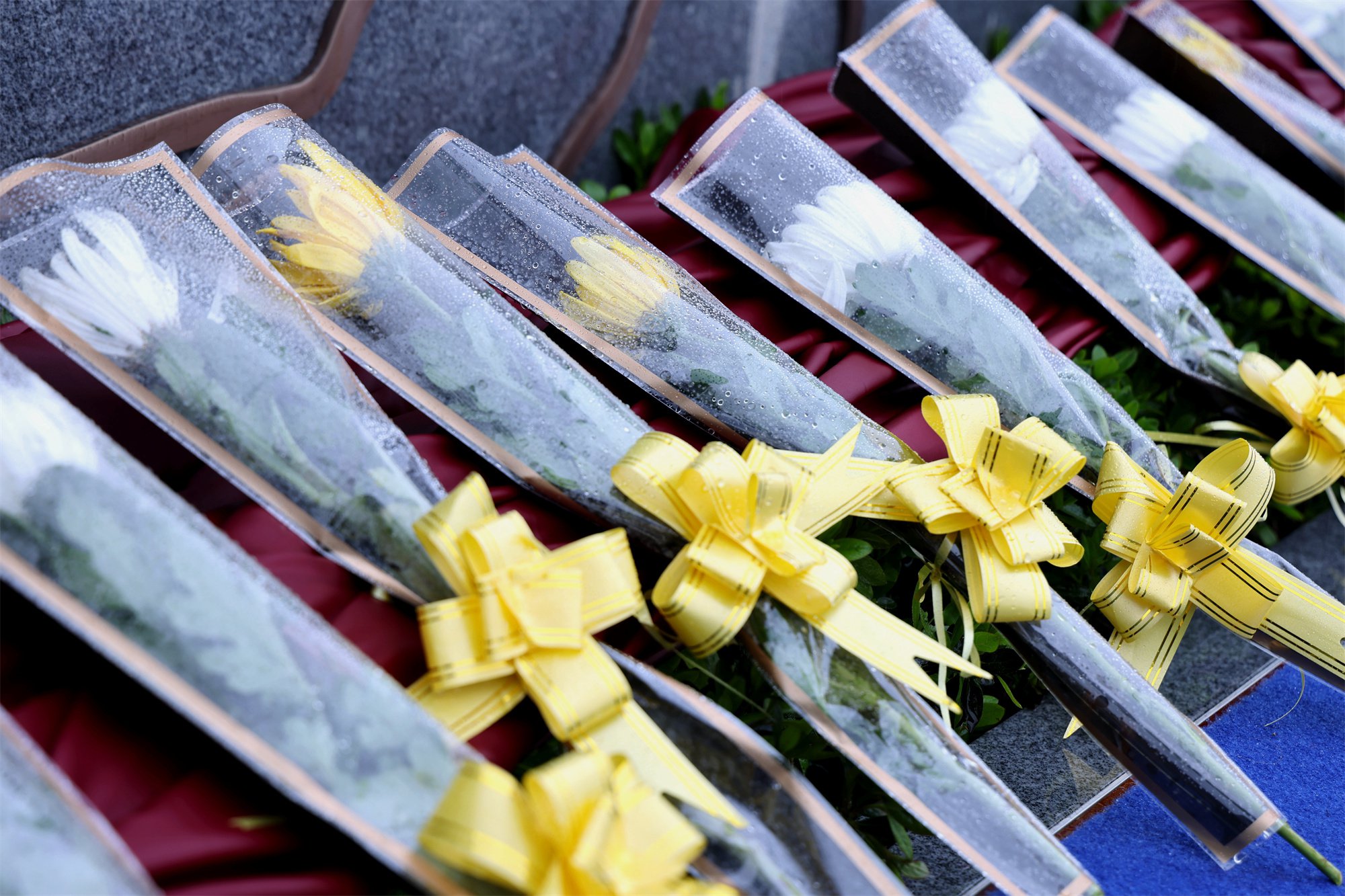 首页- 人生就是博中国官网入口