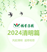 风起清明 遥寄相思|人生就是博官网集团?2024清明篇