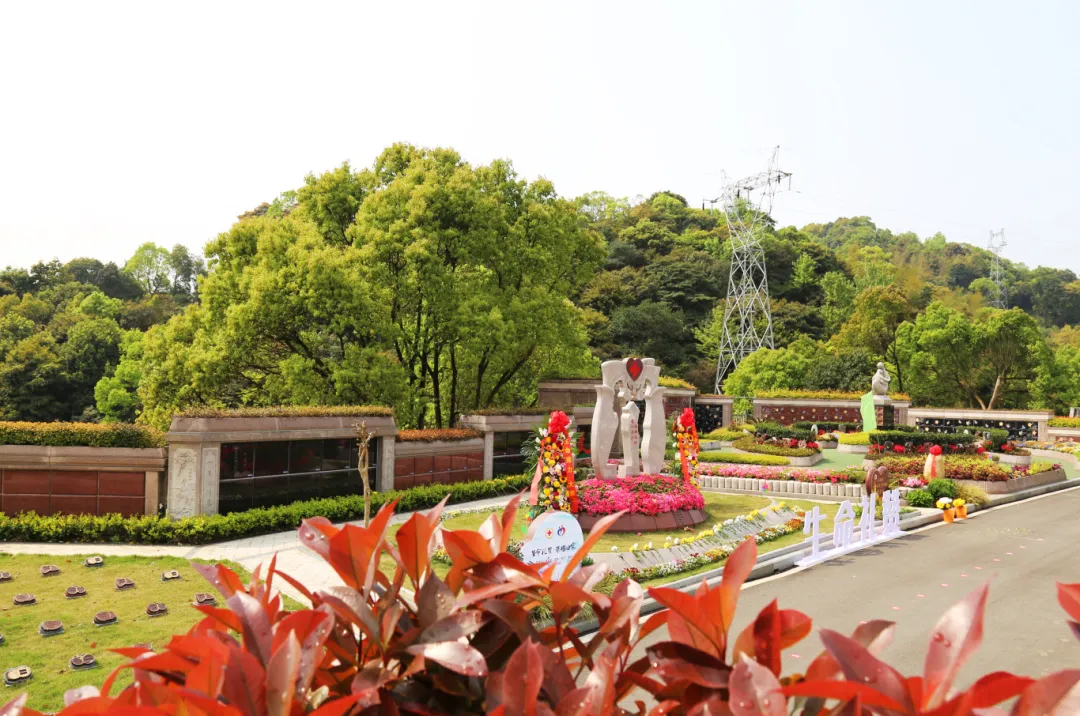 首页- 人生就是博中国官网入口