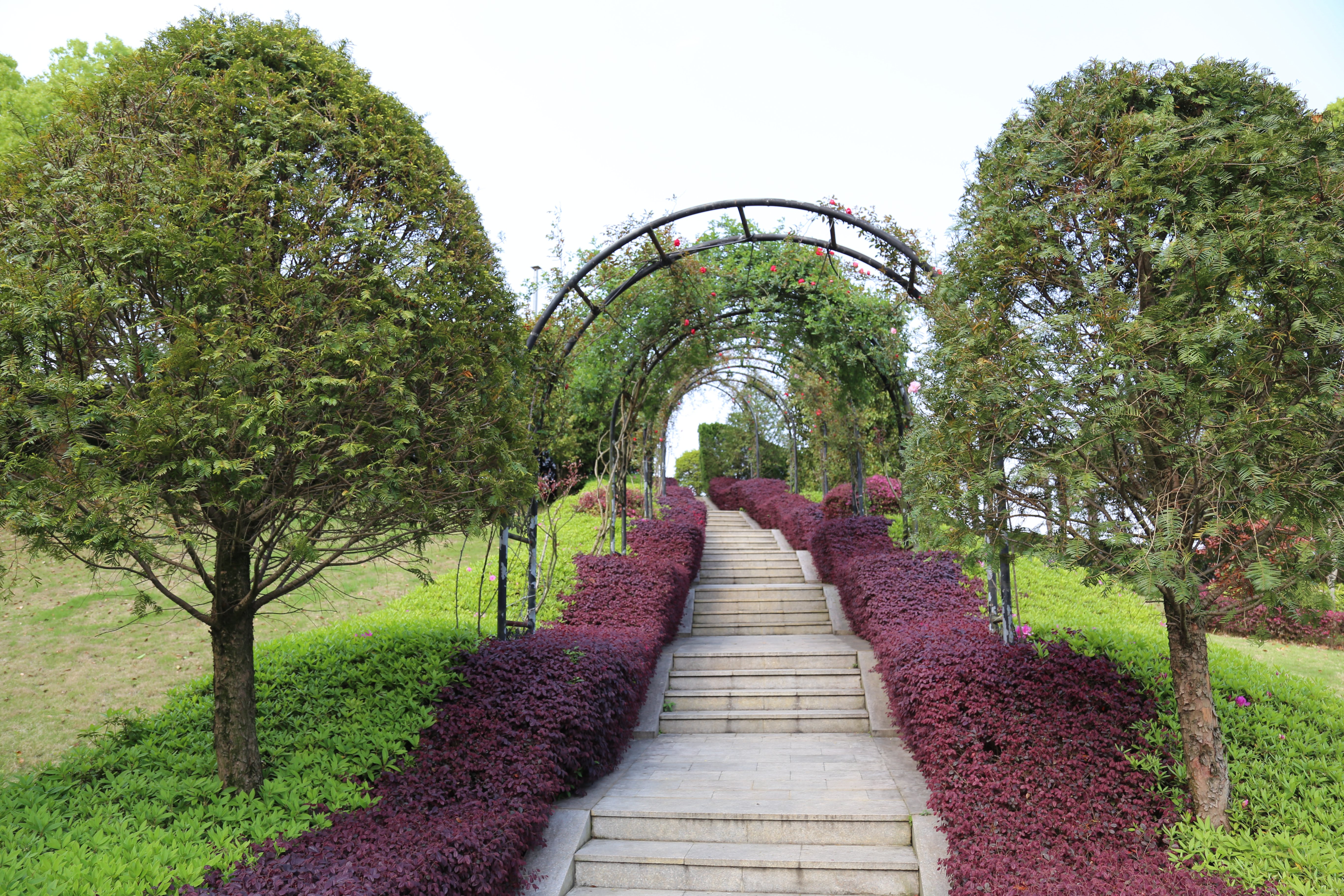 首页- 人生就是博中国官网入口