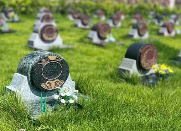 首页- 人生就是博中国官网入口