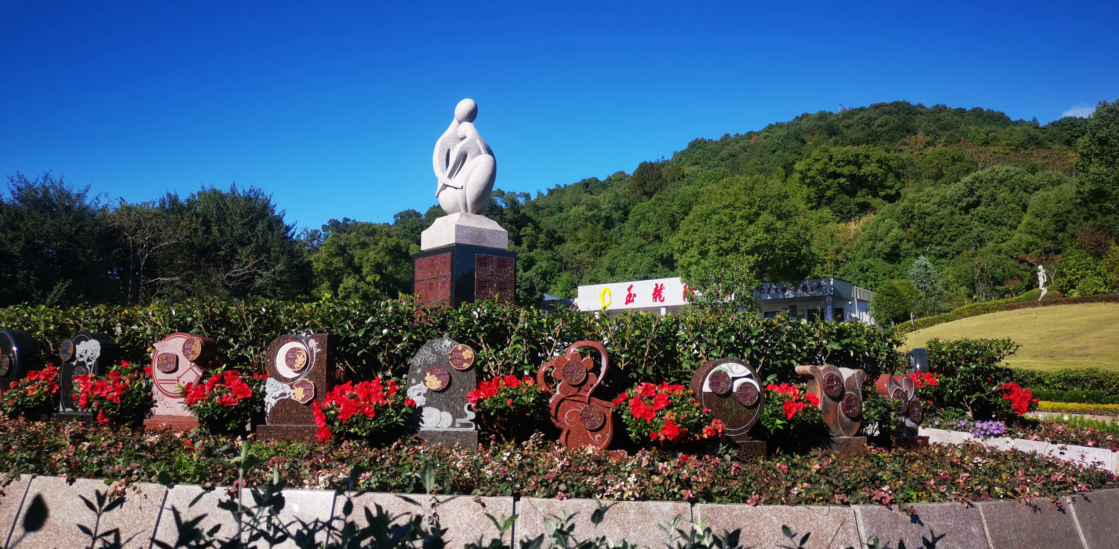 将来，生态葬或将成为主流