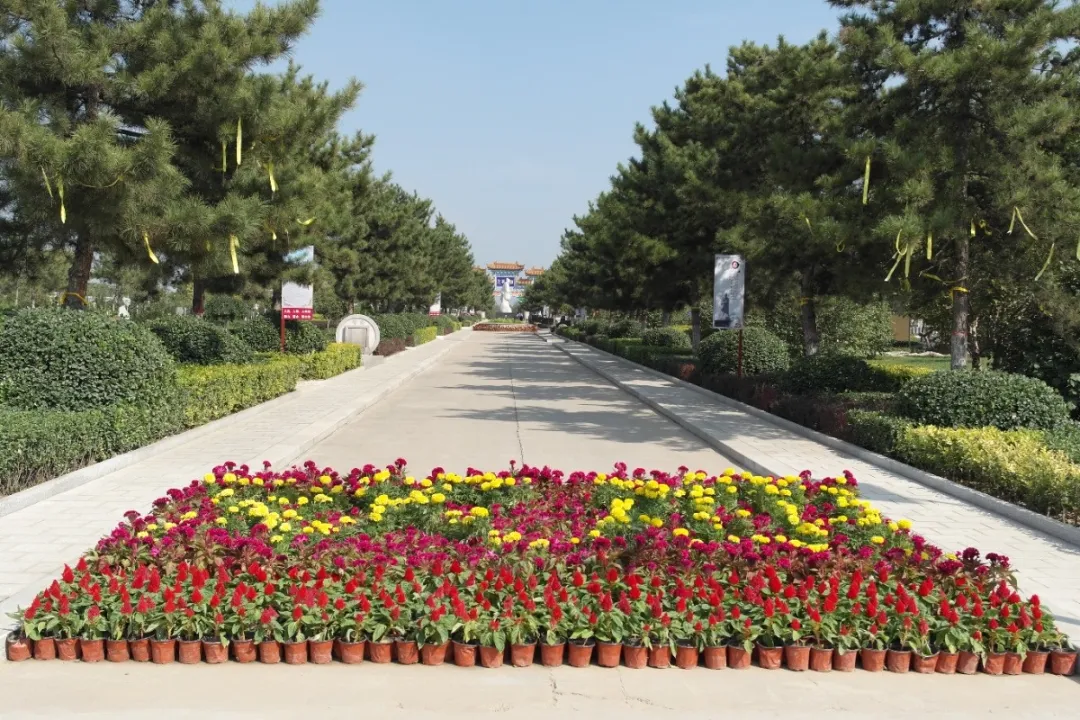 首页- 人生就是博中国官网入口