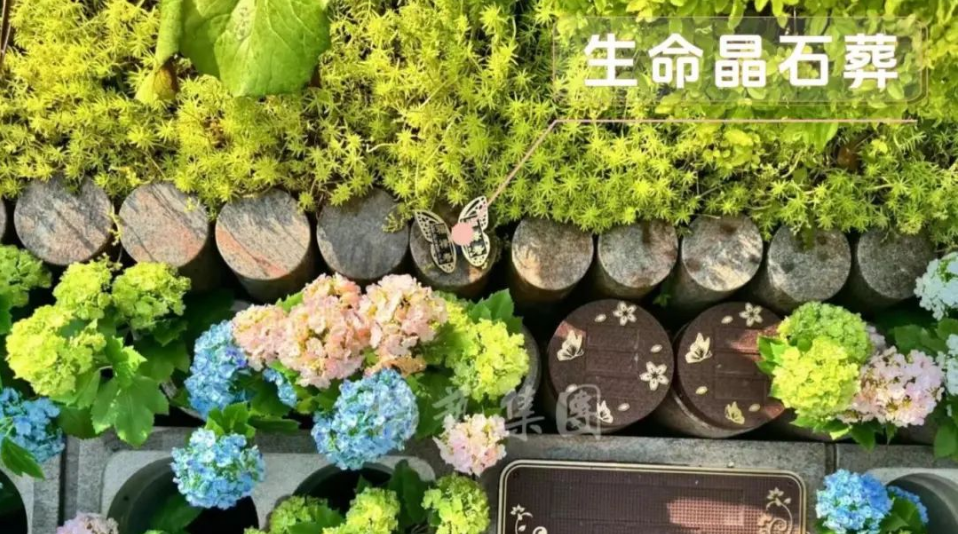 首页- 人生就是博中国官网入口