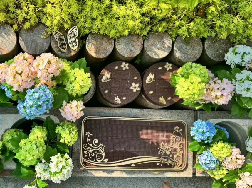 首页- 人生就是博中国官网入口