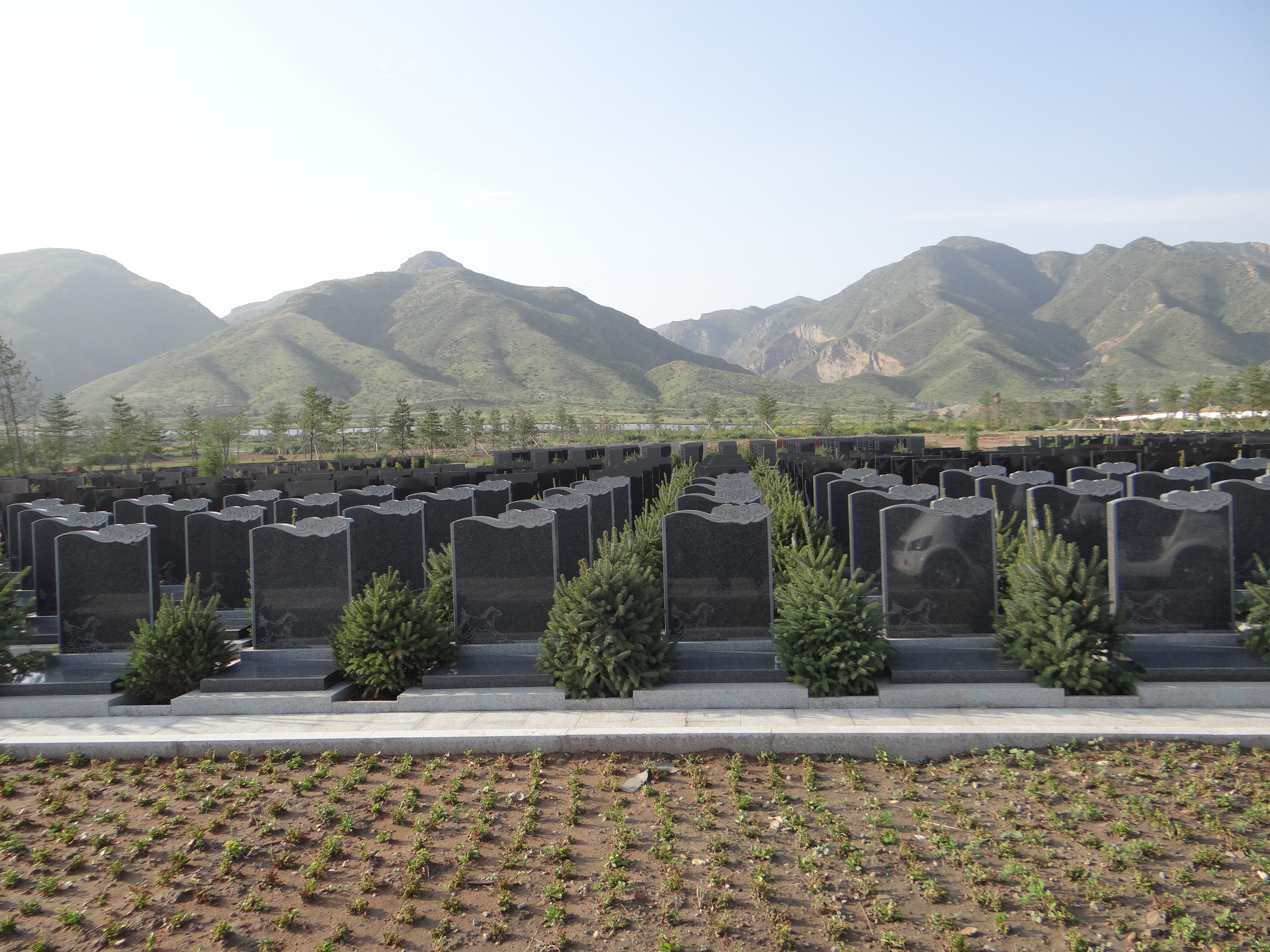 首页- 人生就是博中国官网入口