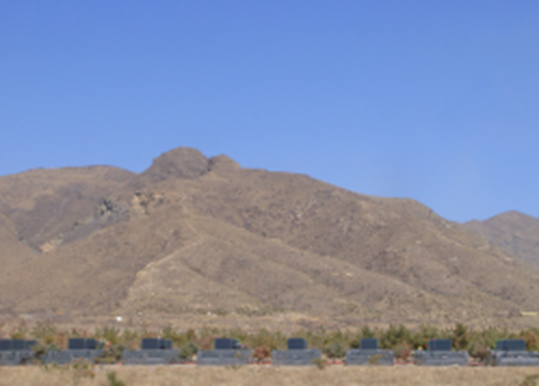 首页- 人生就是博中国官网入口