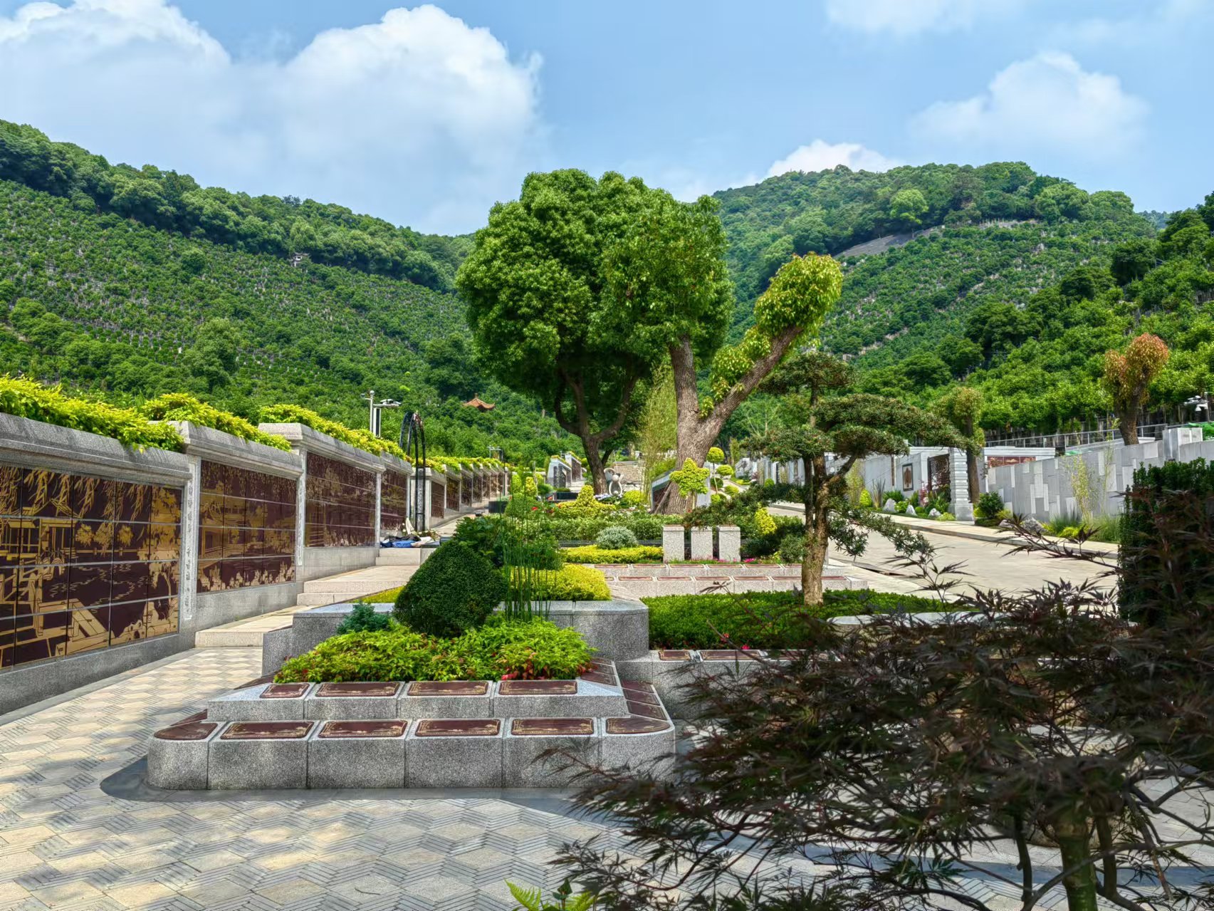 引领绿色生态新风尚，共筑性命和谐家园