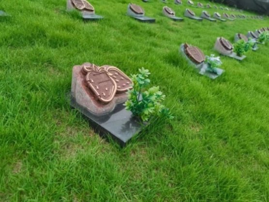 首页- 人生就是博中国官网入口