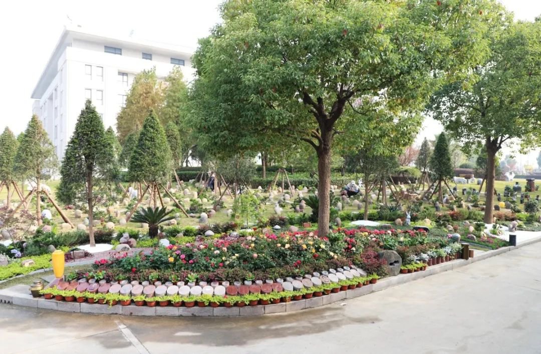 首页- 人生就是博中国官网入口