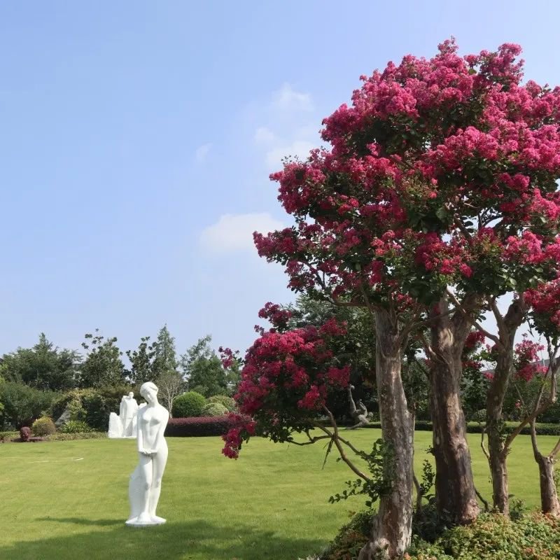 首页- 人生就是博中国官网入口