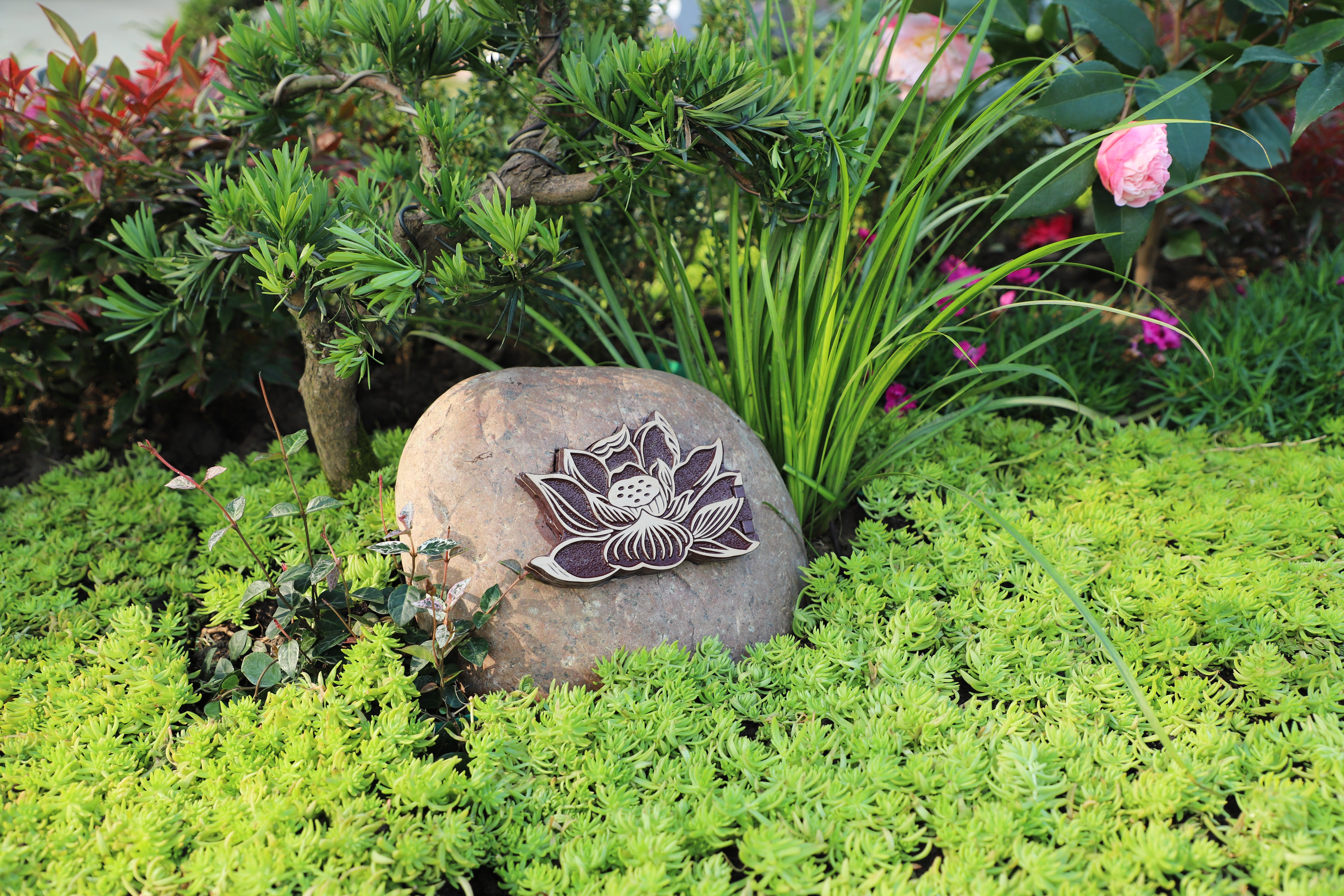 首页- 人生就是博中国官网入口