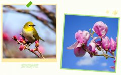 春启人生就是博官网