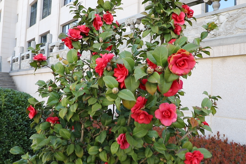 首页- 人生就是博中国官网入口