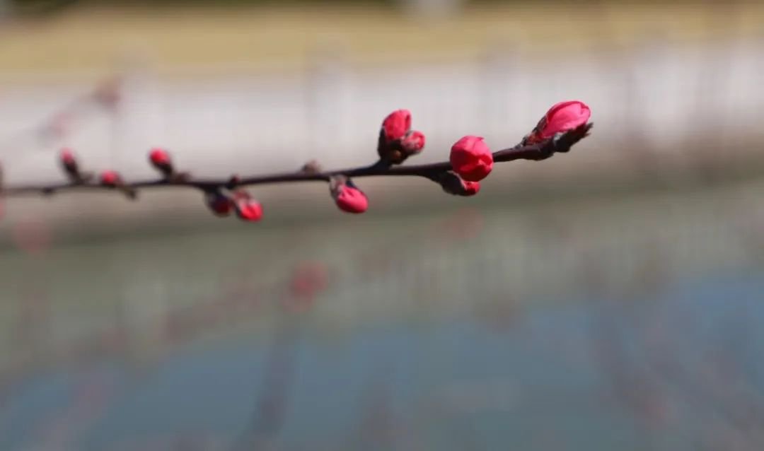首页- 人生就是博中国官网入口