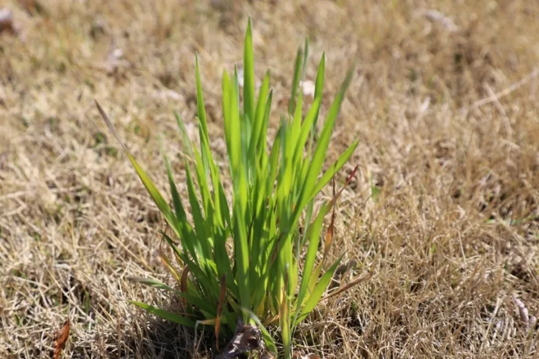 首页- 人生就是博中国官网入口