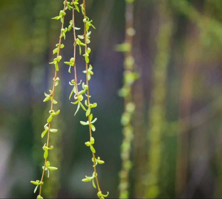首页- 人生就是博中国官网入口