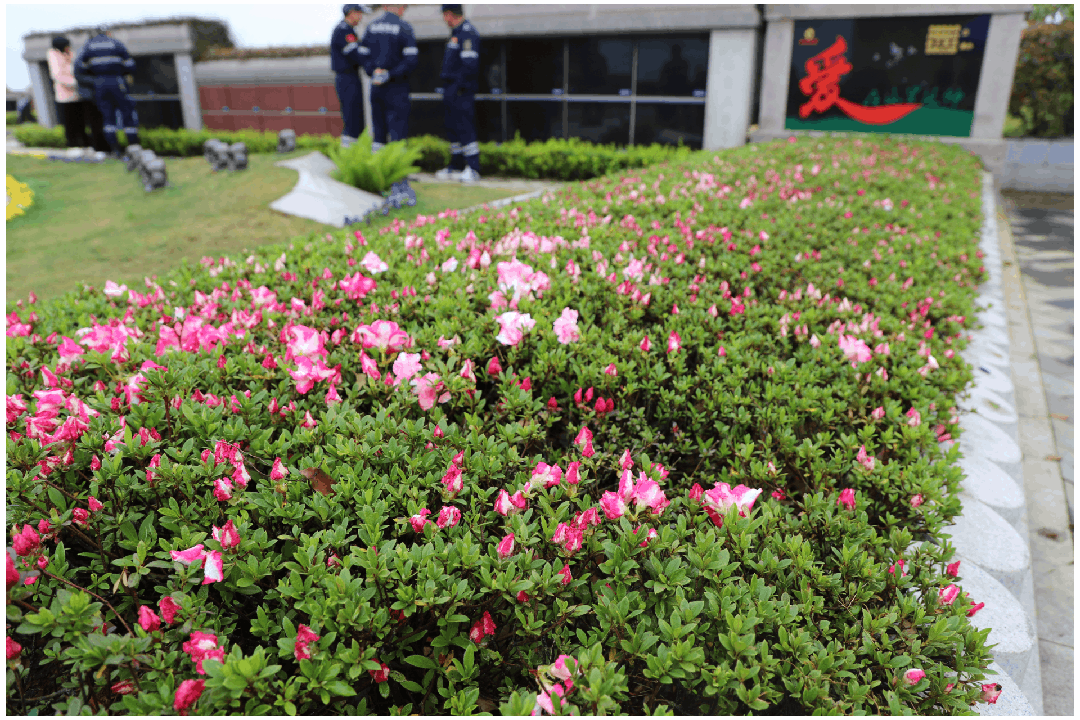 首页- 人生就是博中国官网入口